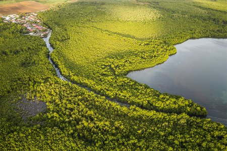 Adapto+ : vers la généralisation de la gestion souple de la bande côtière